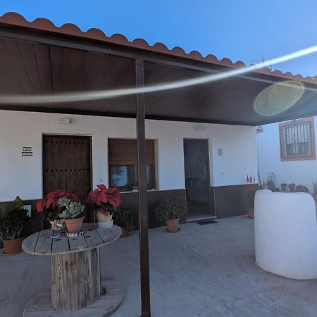 Fernan Perez Apartamentos La Palmera מראה חיצוני תמונה