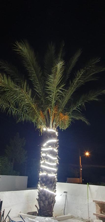 Fernan Perez Apartamentos La Palmera מראה חיצוני תמונה